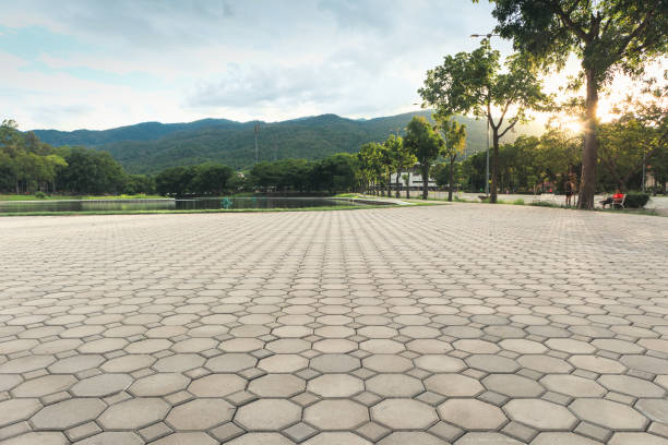 Best Driveway Pavers Installation  in Grifton, NC
